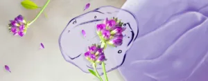 що таке бакучіол